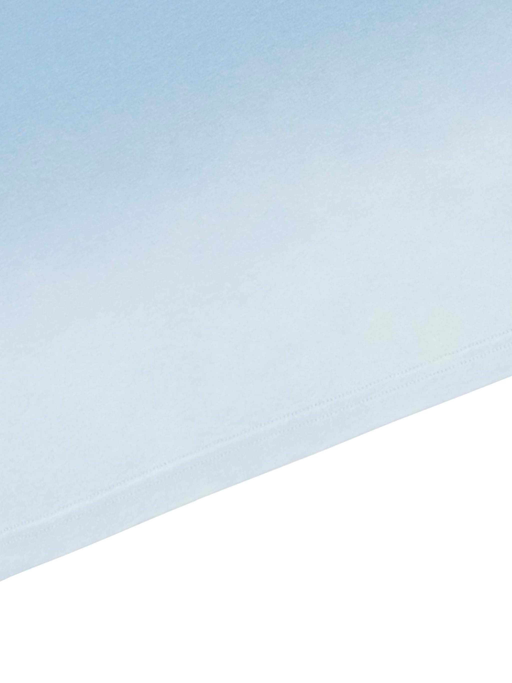 Sunfade Vintage Washed Royal Standard Tee